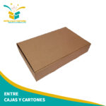 Caja carnada 10