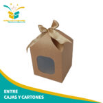 Caja cúpula lazo pq